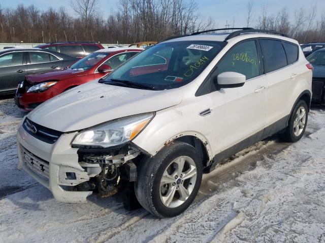 Photo 1 VIN: 1FMCU9G9XDUC66517 - FORD ESCAPE 