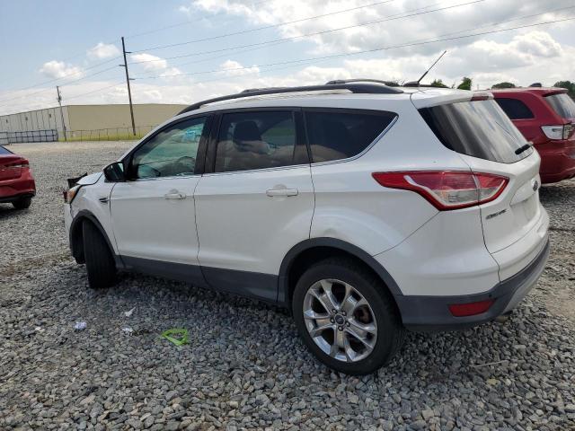 Photo 1 VIN: 1FMCU9G9XEUA09942 - FORD ESCAPE 