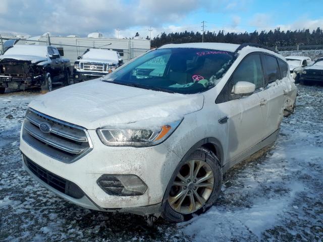 Photo 1 VIN: 1FMCU9GD1HUC82826 - FORD ESCAPE SE 