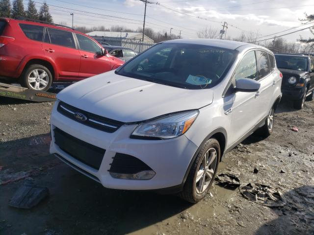 Photo 1 VIN: 1FMCU9GX0DUD33365 - FORD ESCAPE SE 