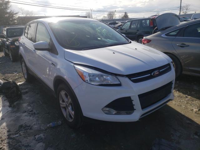 Photo 8 VIN: 1FMCU9GX0DUD33365 - FORD ESCAPE SE 