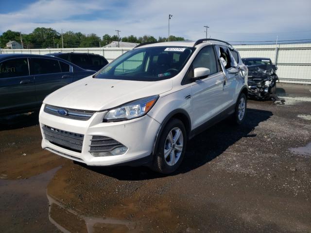 Photo 1 VIN: 1FMCU9GX0EUA81005 - FORD ESCAPE SE 