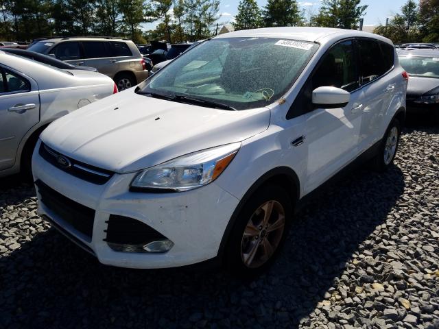 Photo 1 VIN: 1FMCU9GX0GUC29639 - FORD ESCAPE SE 