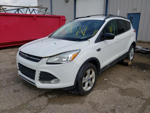 Photo 1 VIN: 1FMCU9GX1DUA15206 - FORD ESCAPE SE 