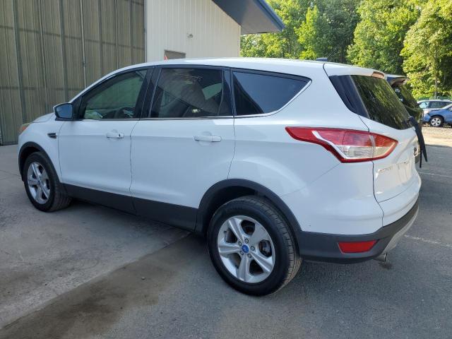 Photo 1 VIN: 1FMCU9GX1DUB10316 - FORD ESCAPE 