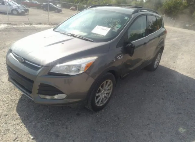 Photo 1 VIN: 1FMCU9GX1EUB53555 - FORD ESCAPE 