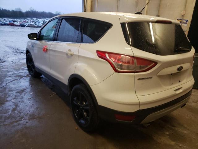 Photo 1 VIN: 1FMCU9GX1EUC00387 - FORD ESCAPE SE 