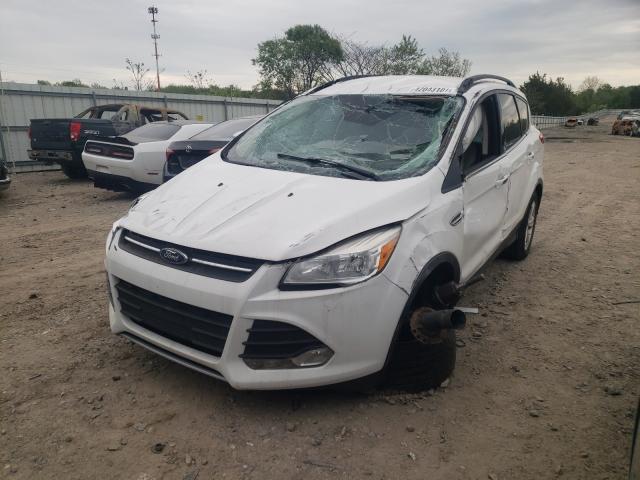 Photo 1 VIN: 1FMCU9GX1EUC04410 - FORD ESCAPE SE 