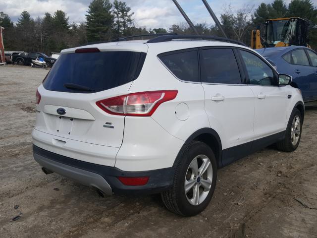 Photo 3 VIN: 1FMCU9GX1EUC31560 - FORD ESCAPE SE 