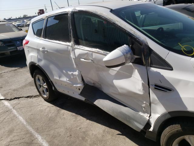 Photo 8 VIN: 1FMCU9GX1EUC38377 - FORD ESCAPE 