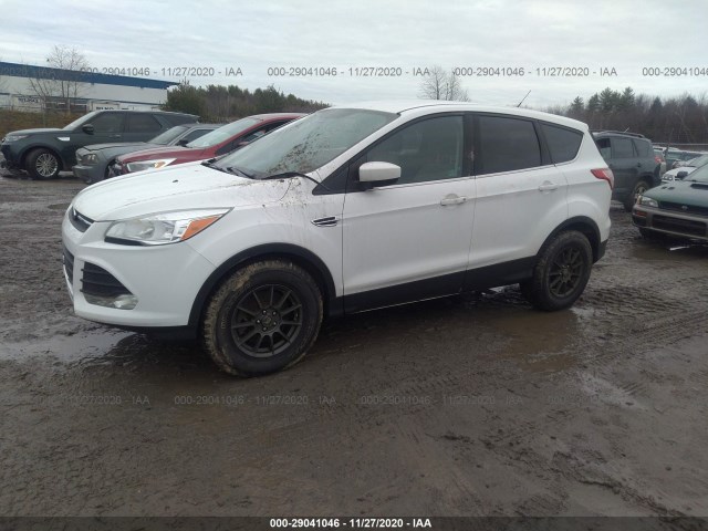 Photo 1 VIN: 1FMCU9GX1EUD63718 - FORD ESCAPE 