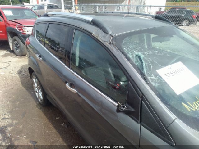 Photo 5 VIN: 1FMCU9GX1EUE09466 - FORD ESCAPE 