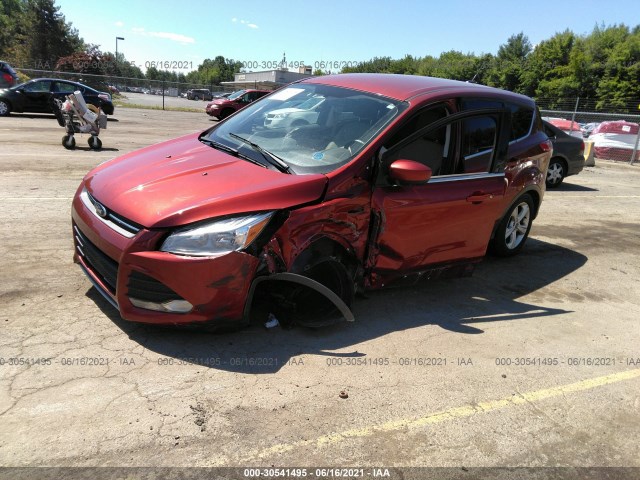 Photo 1 VIN: 1FMCU9GX1EUE31564 - FORD ESCAPE 