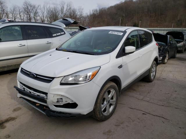 Photo 1 VIN: 1FMCU9GX1EUE36392 - FORD ESCAPE SE 