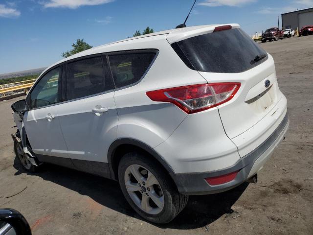 Photo 1 VIN: 1FMCU9GX2DUB71299 - FORD ESCAPE 