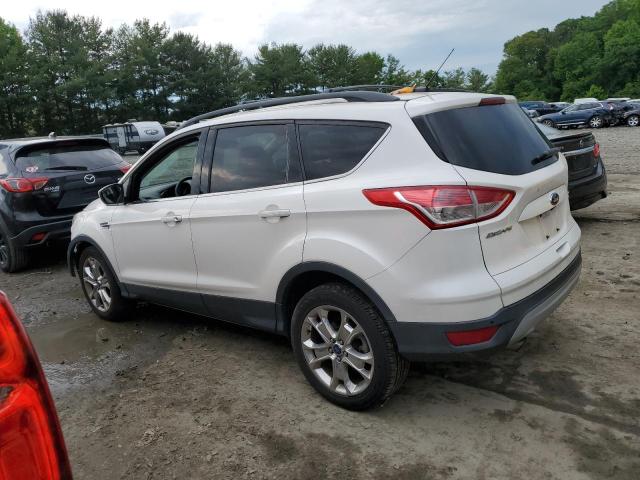 Photo 1 VIN: 1FMCU9GX2EUB20757 - FORD ESCAPE 