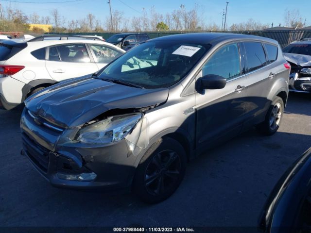 Photo 1 VIN: 1FMCU9GX2EUC14721 - FORD ESCAPE 