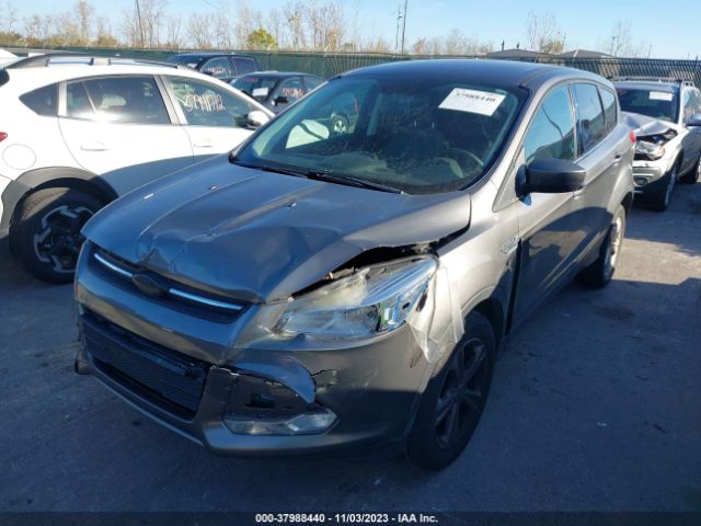 Photo 5 VIN: 1FMCU9GX2EUC14721 - FORD ESCAPE 