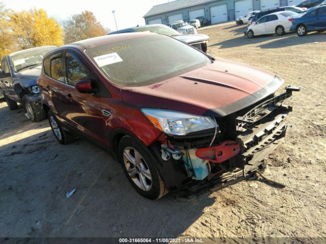 Photo 0 VIN: 1FMCU9GX3EUB02588 - FORD ESCAPE 