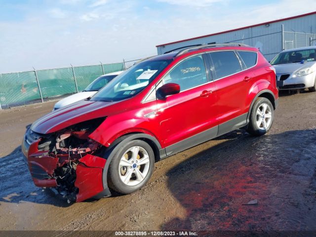 Photo 1 VIN: 1FMCU9GX3EUB41620 - FORD ESCAPE 