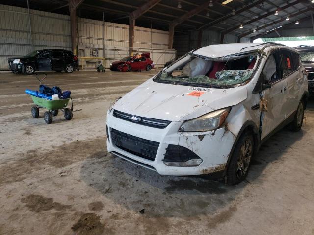 Photo 1 VIN: 1FMCU9GX3EUB53430 - FORD ESCAPE SE 