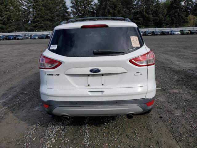 Photo 5 VIN: 1FMCU9GX3EUB64444 - FORD ESCAPE SE 