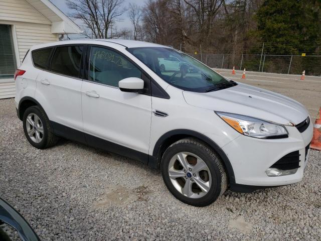 Photo 3 VIN: 1FMCU9GX3EUB77453 - FORD ESCAPE SE 