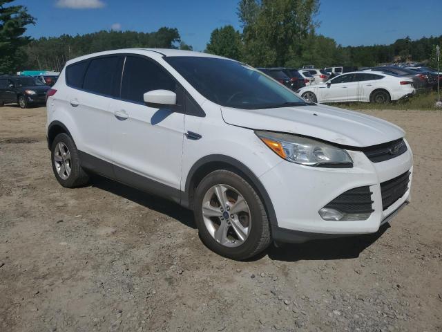 Photo 3 VIN: 1FMCU9GX3EUB81843 - FORD ESCAPE SE 