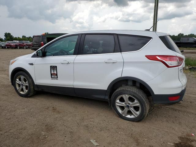 Photo 1 VIN: 1FMCU9GX3EUB84449 - FORD ESCAPE 