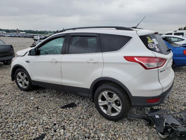 Photo 1 VIN: 1FMCU9GX3EUC55181 - FORD ESCAPE 