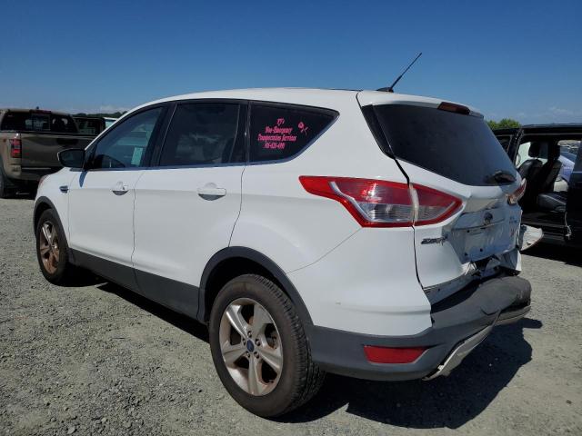 Photo 1 VIN: 1FMCU9GX3EUD80939 - FORD ESCAPE 