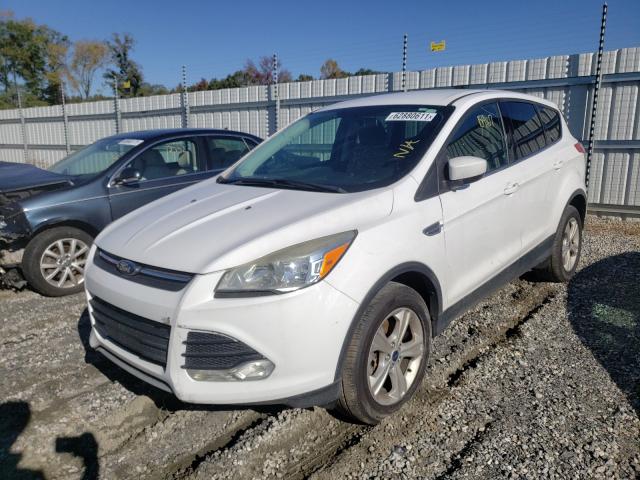 Photo 1 VIN: 1FMCU9GX4DUD11854 - FORD ESCAPE SE 