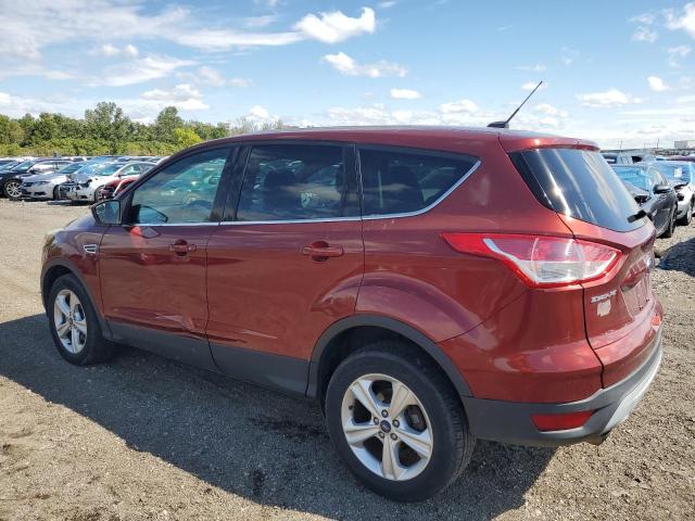 Photo 1 VIN: 1FMCU9GX4EUA05321 - FORD ESCAPE SE 