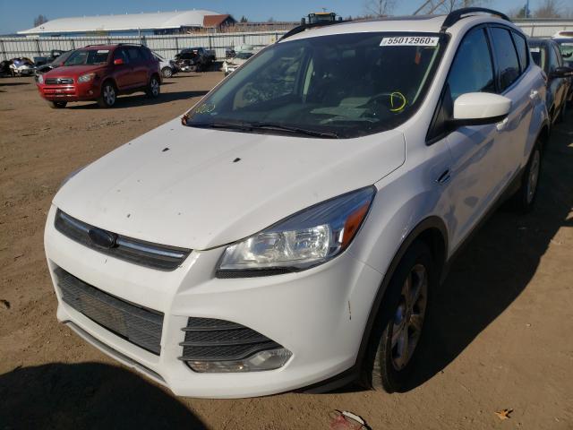 Photo 1 VIN: 1FMCU9GX4EUA75756 - FORD ESCAPE SE 