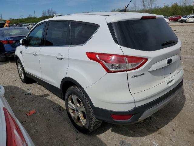 Photo 1 VIN: 1FMCU9GX4EUA92976 - FORD ESCAPE SE 