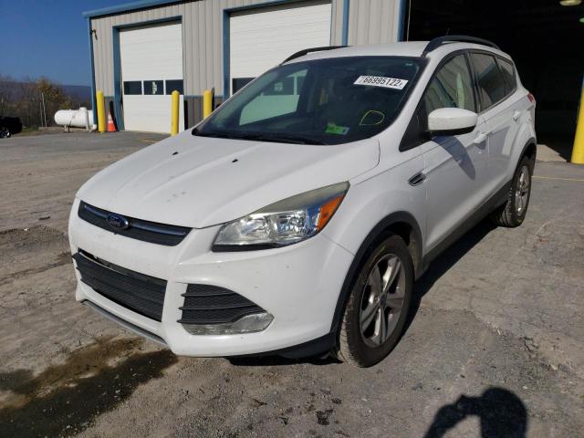 Photo 1 VIN: 1FMCU9GX4EUC81238 - FORD ESCAPE 