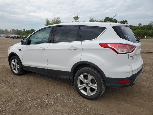 Photo 1 VIN: 1FMCU9GX4EUD09832 - FORD ESCAPE SE 