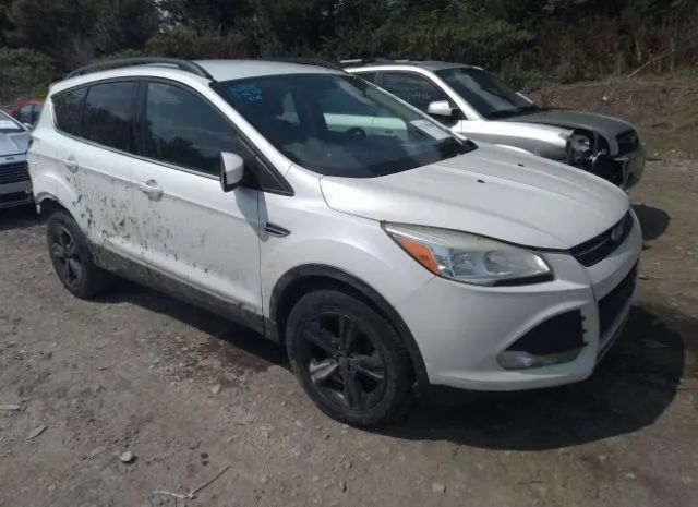 Photo 0 VIN: 1FMCU9GX4EUE02477 - FORD ESCAPE 