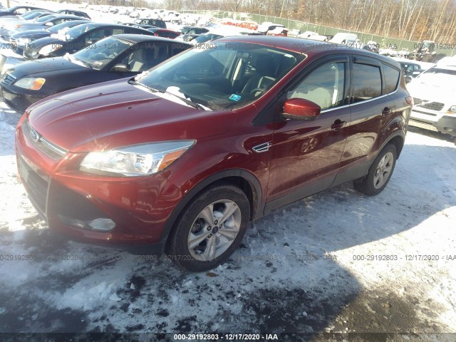 Photo 1 VIN: 1FMCU9GX4EUE22633 - FORD ESCAPE 