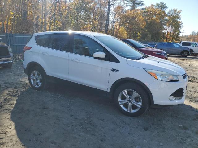 Photo 3 VIN: 1FMCU9GX5EUA49330 - FORD ESCAPE SE 