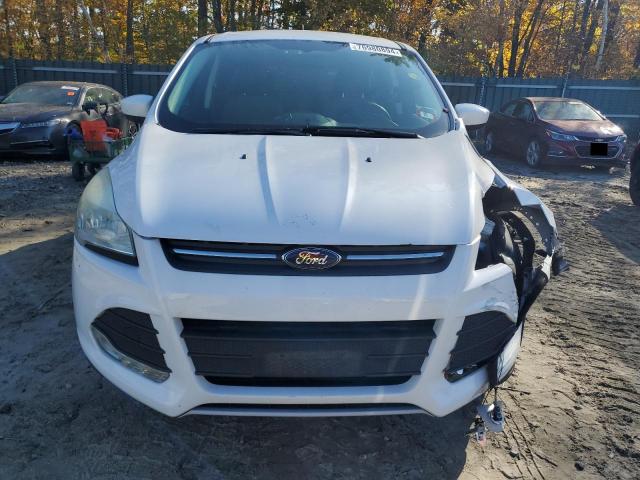 Photo 4 VIN: 1FMCU9GX5EUA49330 - FORD ESCAPE SE 