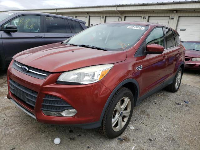 Photo 1 VIN: 1FMCU9GX5EUC58115 - FORD ESCAPE SE 