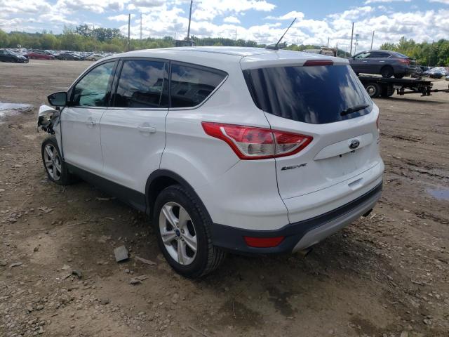 Photo 2 VIN: 1FMCU9GX6EUA53869 - FORD ESCAPE SE 