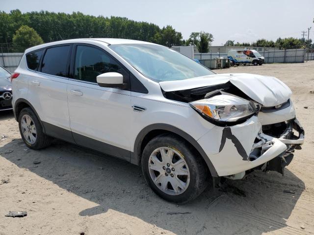 Photo 3 VIN: 1FMCU9GX6EUC03981 - FORD ESCAPE SE 