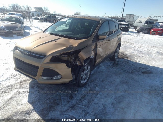 Photo 1 VIN: 1FMCU9GX6EUE01539 - FORD ESCAPE 