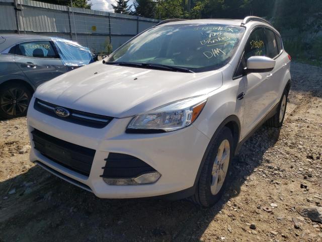 Photo 1 VIN: 1FMCU9GX6FUB23940 - FORD ESCAPE SE 