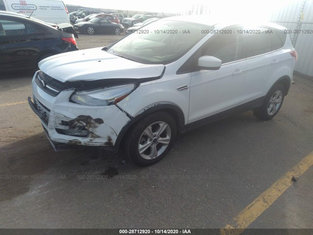 Photo 1 VIN: 1FMCU9GX7DUA80593 - FORD ESCAPE 