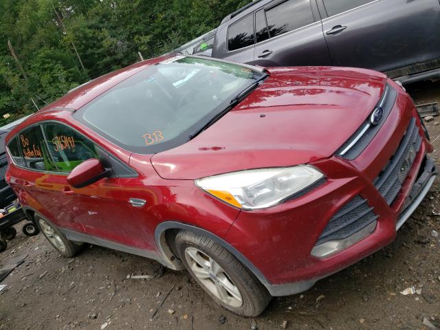 Photo 0 VIN: 1FMCU9GX7DUD06471 - FORD ESCAPE SE 