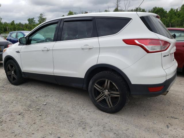 Photo 1 VIN: 1FMCU9GX7DUD82790 - FORD ESCAPE SE 