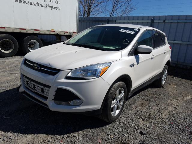 Photo 1 VIN: 1FMCU9GX7EUB73955 - FORD ESCAPE SE 